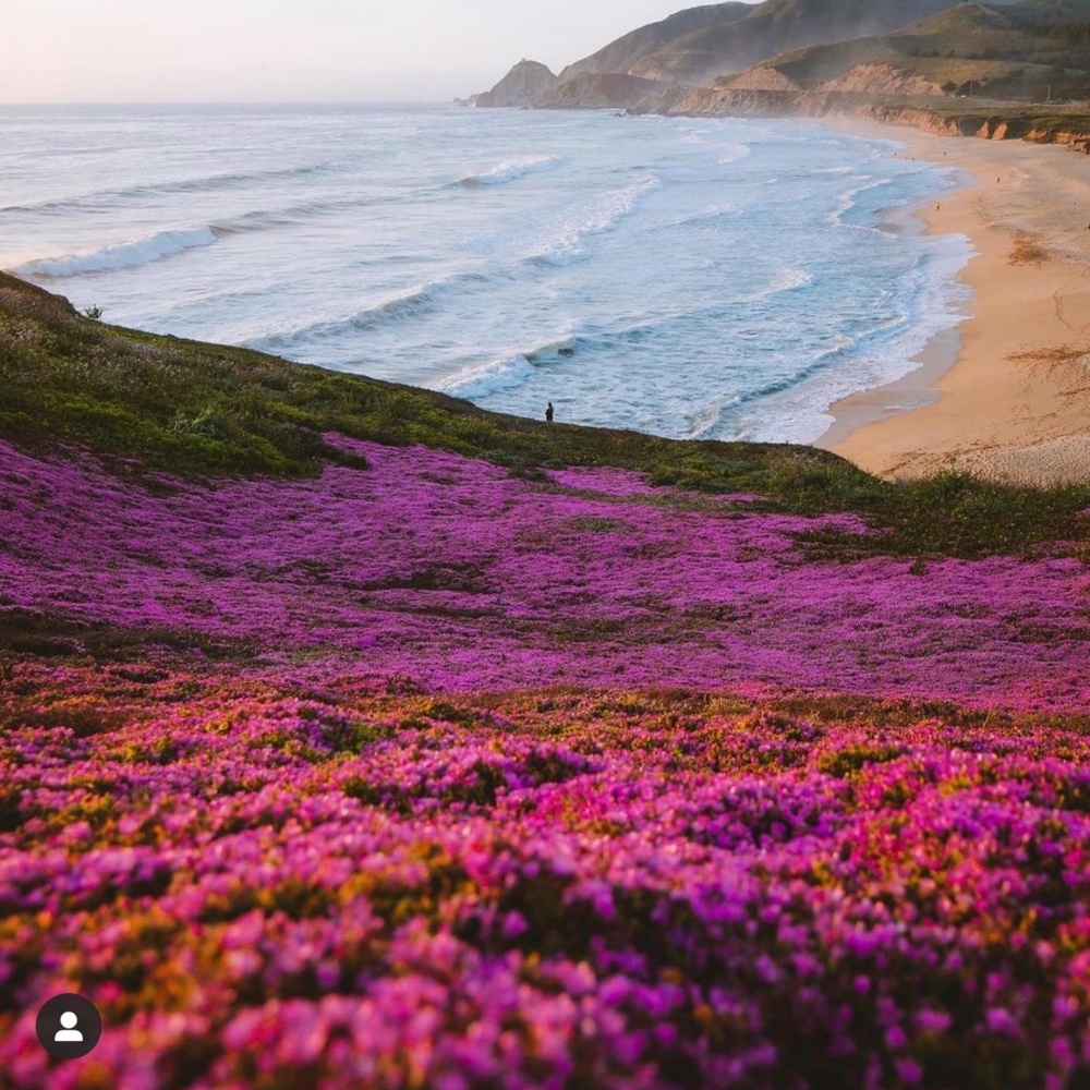 Meet your Posher, Doreen